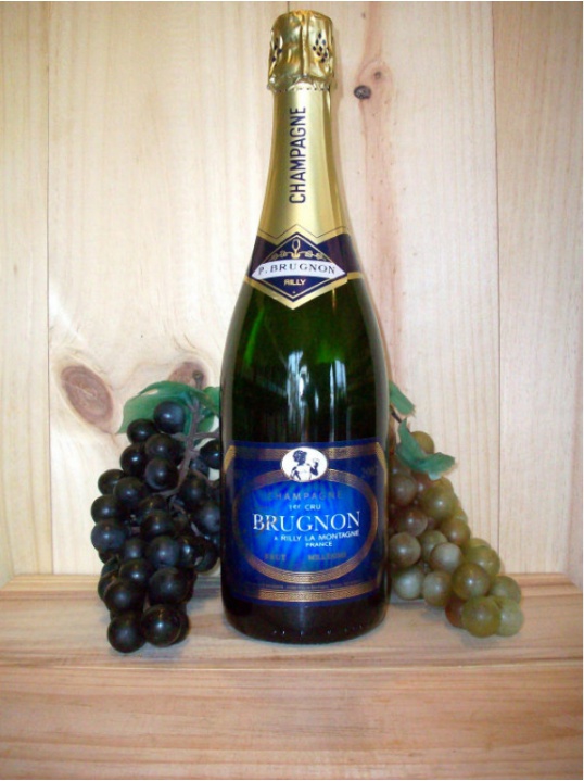Philippe Brugnon Premier Cru Vintage Champagne Dry (Brut) 2015